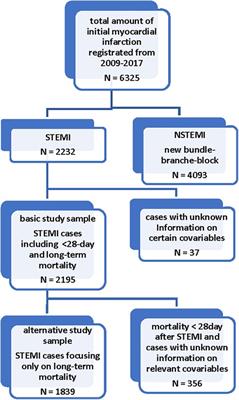 Anterior-wall and non-anterior-wall STEMIs do not differ in long-term mortality: results from the augsburg myocardial infarction registry